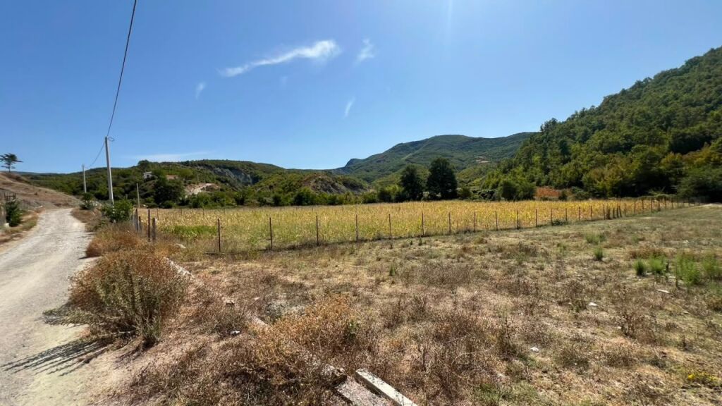 LAND FOR SALE IN BALDUSHK - Image 3
