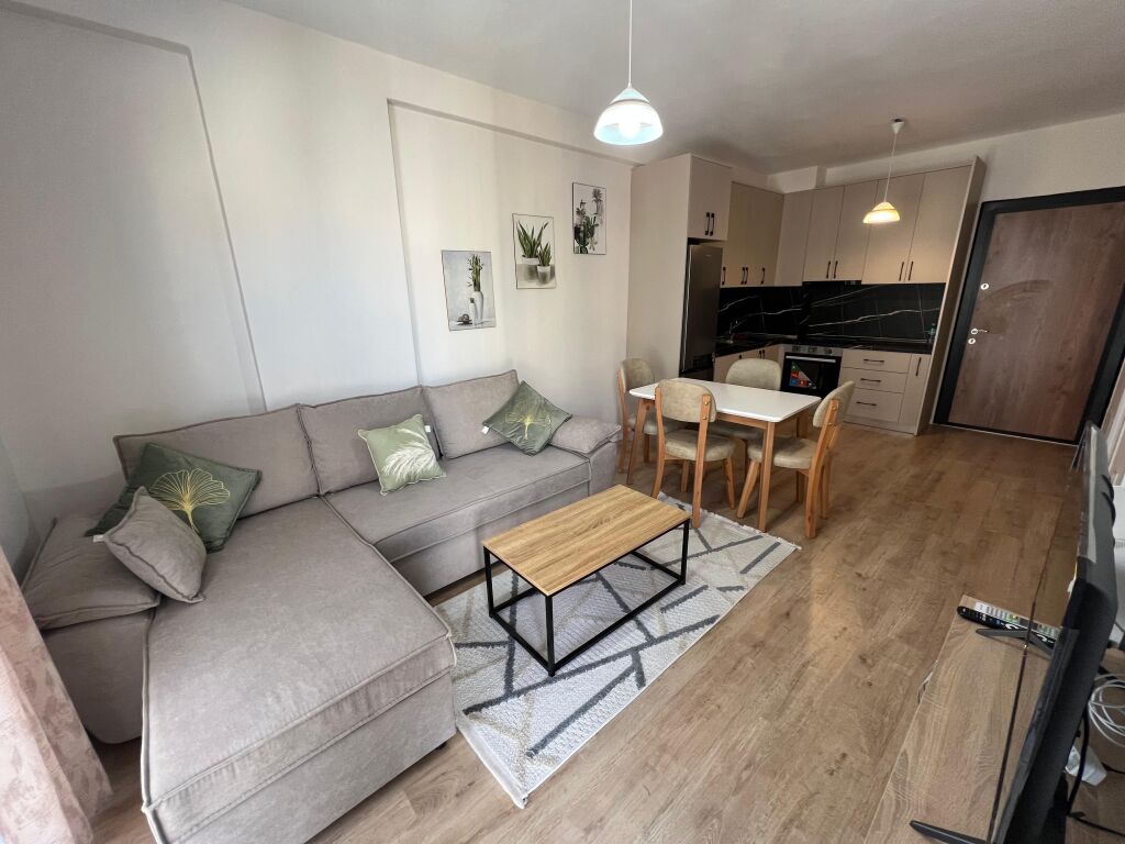 1+1 Apartment for Rent in Univers City, Tirane - Image 2